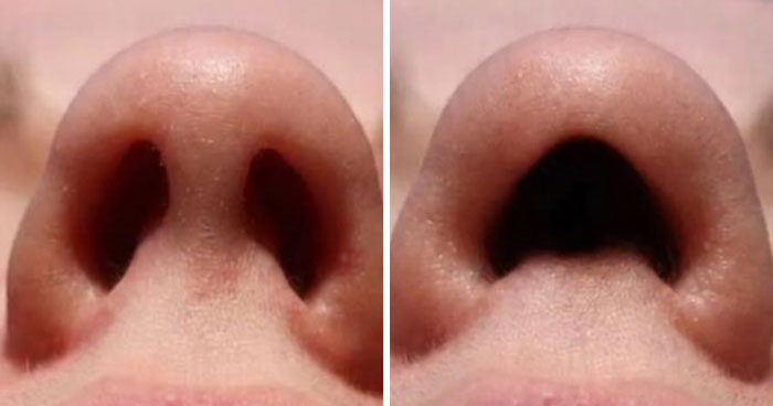 Wait, Why Do We Even Have Two Nostrils? The Internet’s Funniest Theories