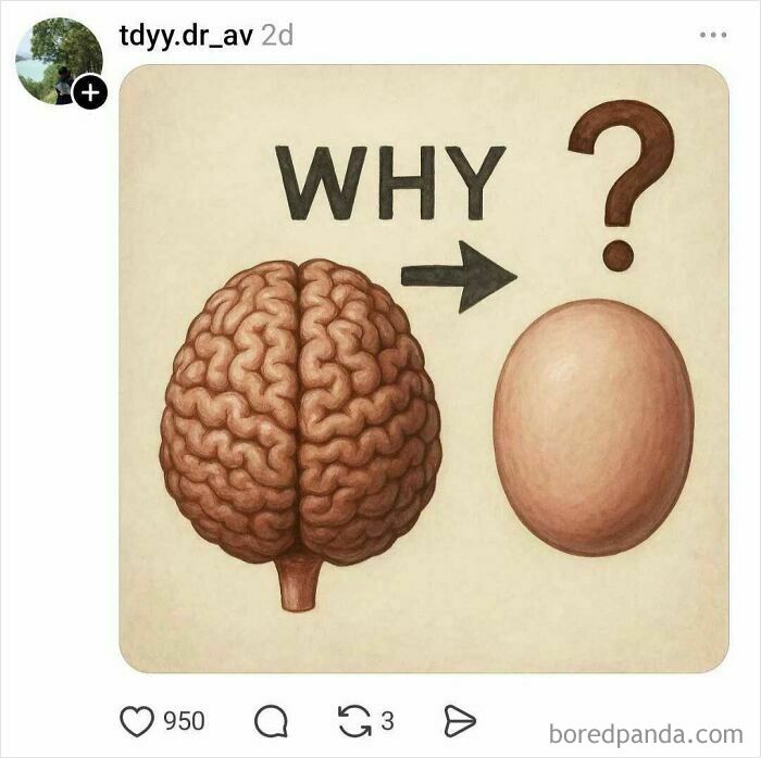 Wait, Why Do We Even Have Two Nostrils? The Internet’s Funniest Theories