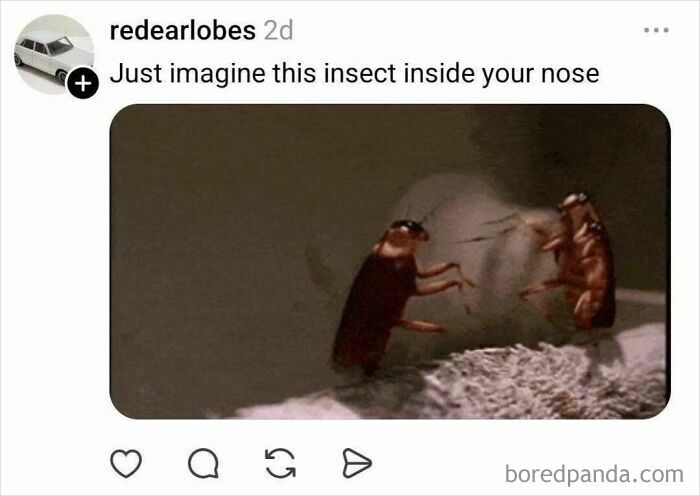 Wait, Why Do We Even Have Two Nostrils? The Internet’s Funniest Theories