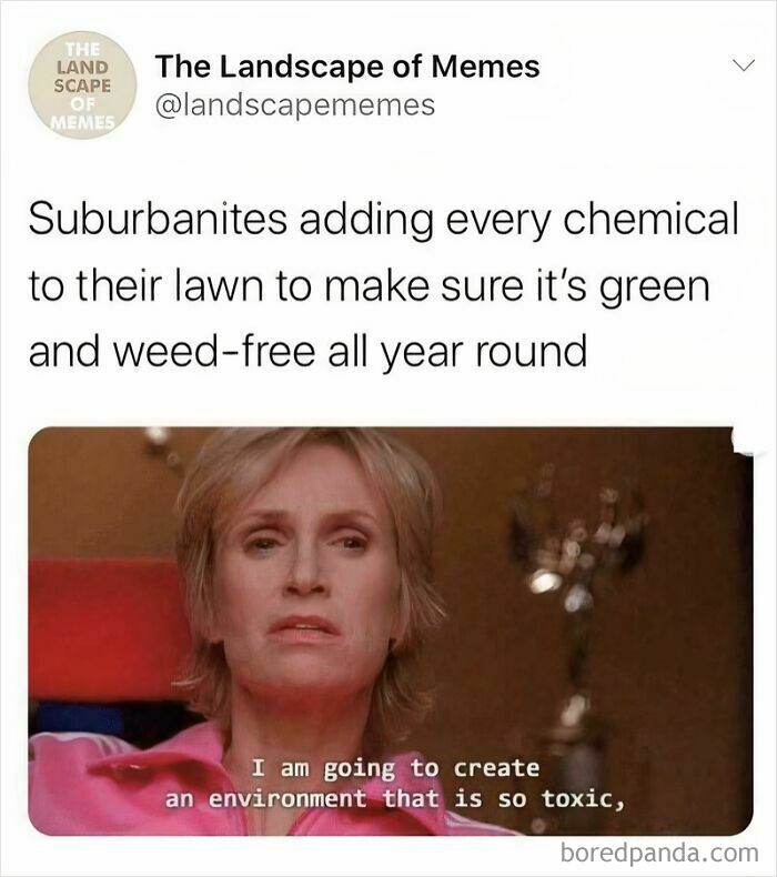 We Could Have Cool Cities, But Nah, Suburbs It Is