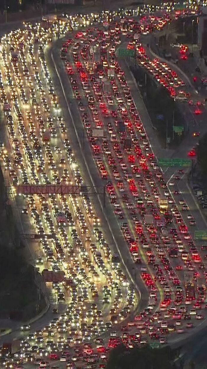 Suburbanites vs. Reality: Packed Like Sardines and Loving It