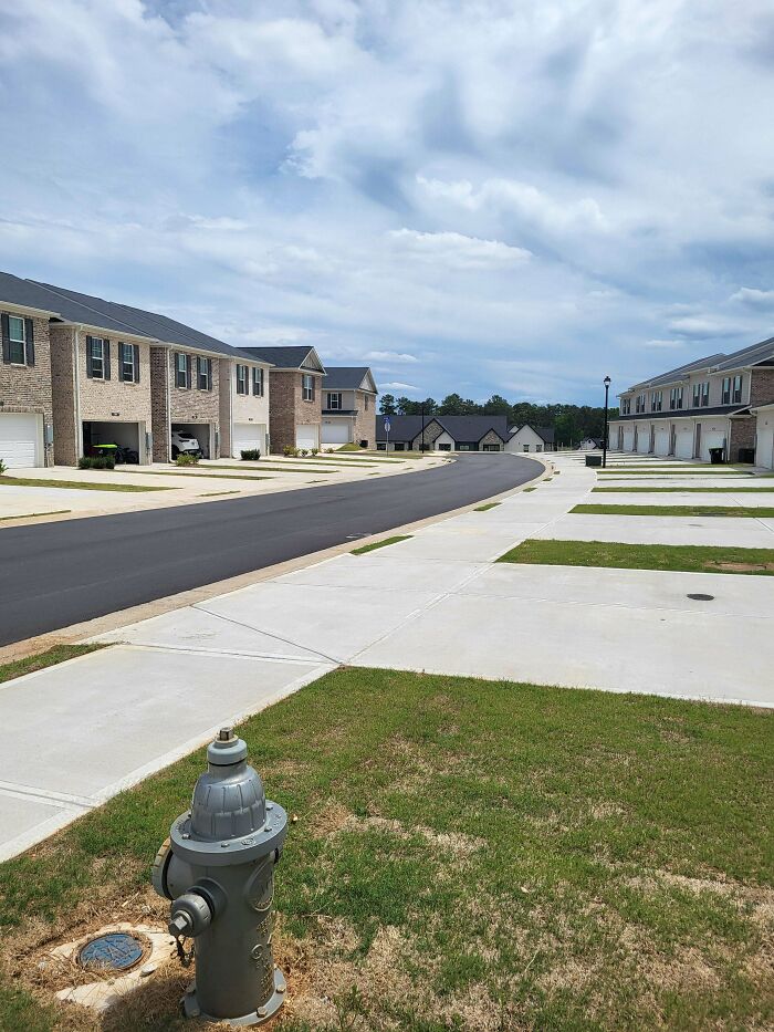 This Used to Be a Forest... Then Suburbia Happened