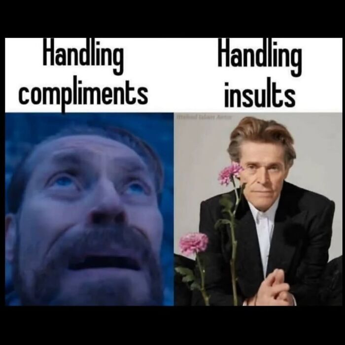 Let's Get Real: 71 Memes That Nail That Weirdly Cheerful Sadness