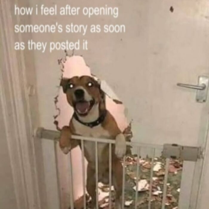 Let's Get Real: 71 Memes That Nail That Weirdly Cheerful Sadness