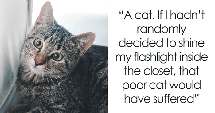 Wait Till You See The Weirdest Things People Found Hiding In Their New Homes!