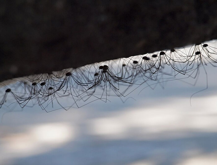 Wait Till You See The Weirdest Things People Found Hiding In Their New Homes!