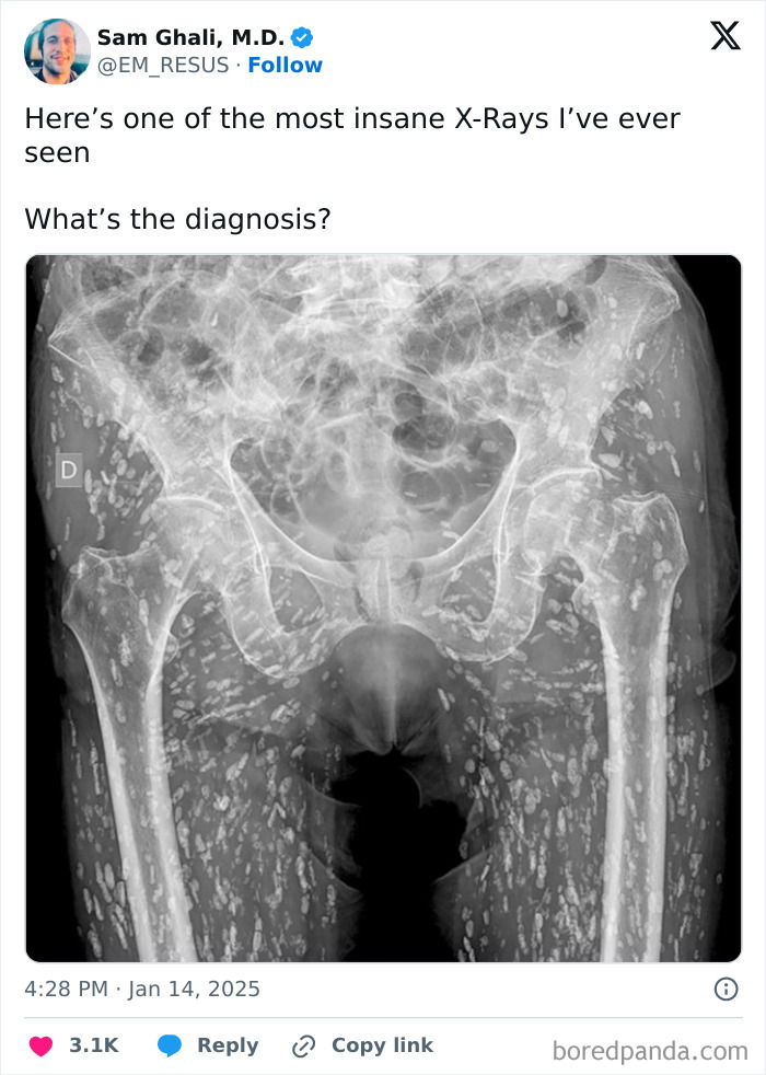 Wait, People Actually Shared These Wild Body Pics?! 61 Absolutely Mind-Blowing Shots