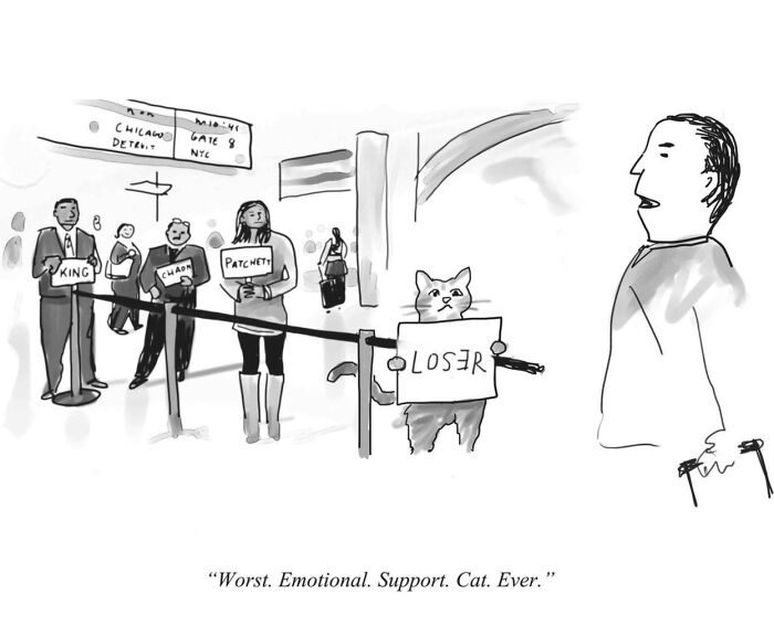 30 Cartoons That Nail Everyday Life and Make You Snort-Laugh
