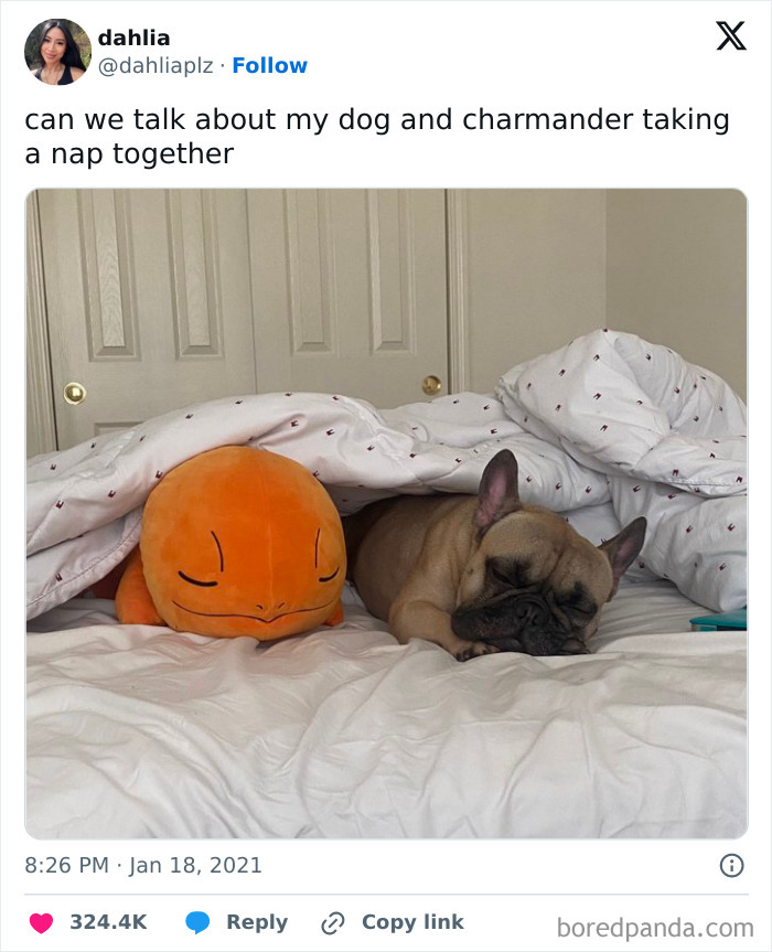 Awwww, Seriously Cute Overload
