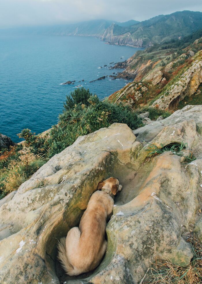 Found the Ultimate Wind Hideout (It’s a Dog Spot)