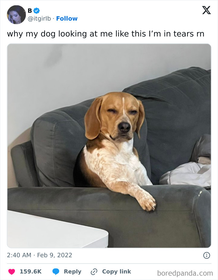 Still Deep in Thought About That Birthday Party