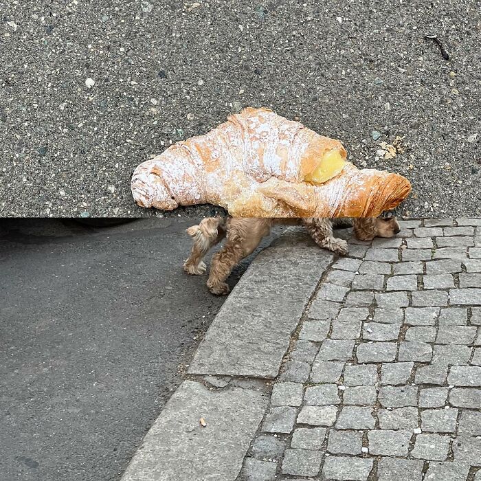 Wait, These Photos Turned the Streets Into Trippy Visual Magic!