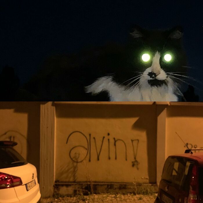 Wait, These Photos Turned the Streets Into Trippy Visual Magic!