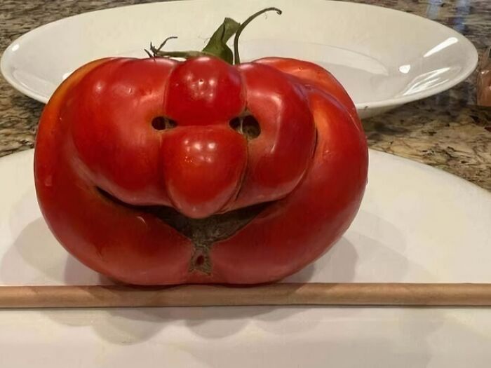 This Tomato Is Way Too Happy To Just Be a Tomato