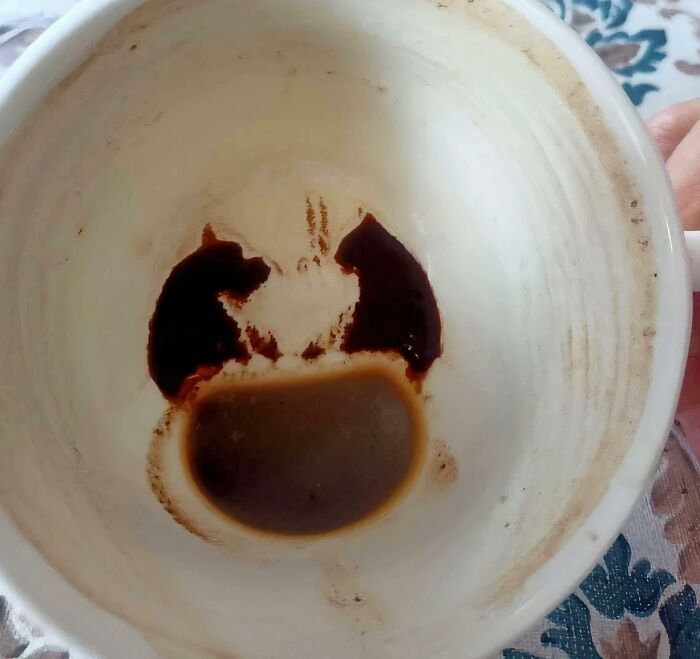Dog and Cat Hanging Out in a Coffee Cup