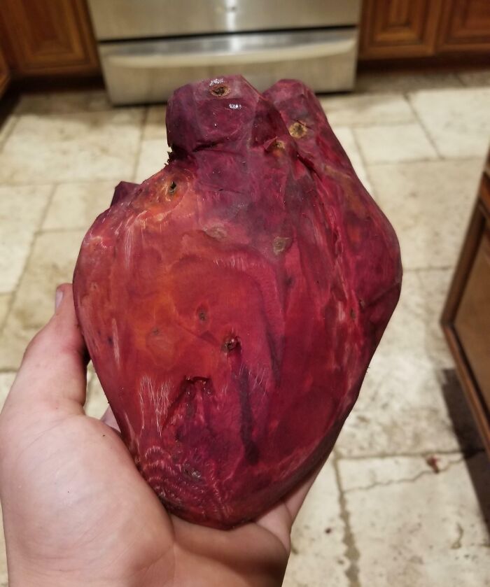 I Grew a Beet That’s Basically a Heart Emoji