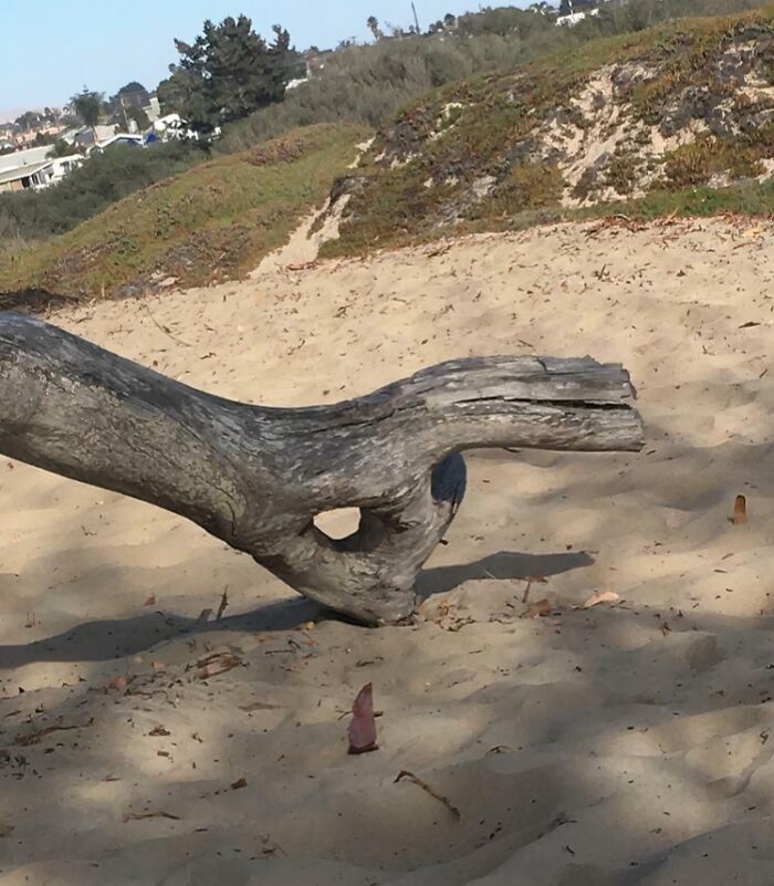 This Hand is Waving Hello (or Maybe Just Saying Hi)