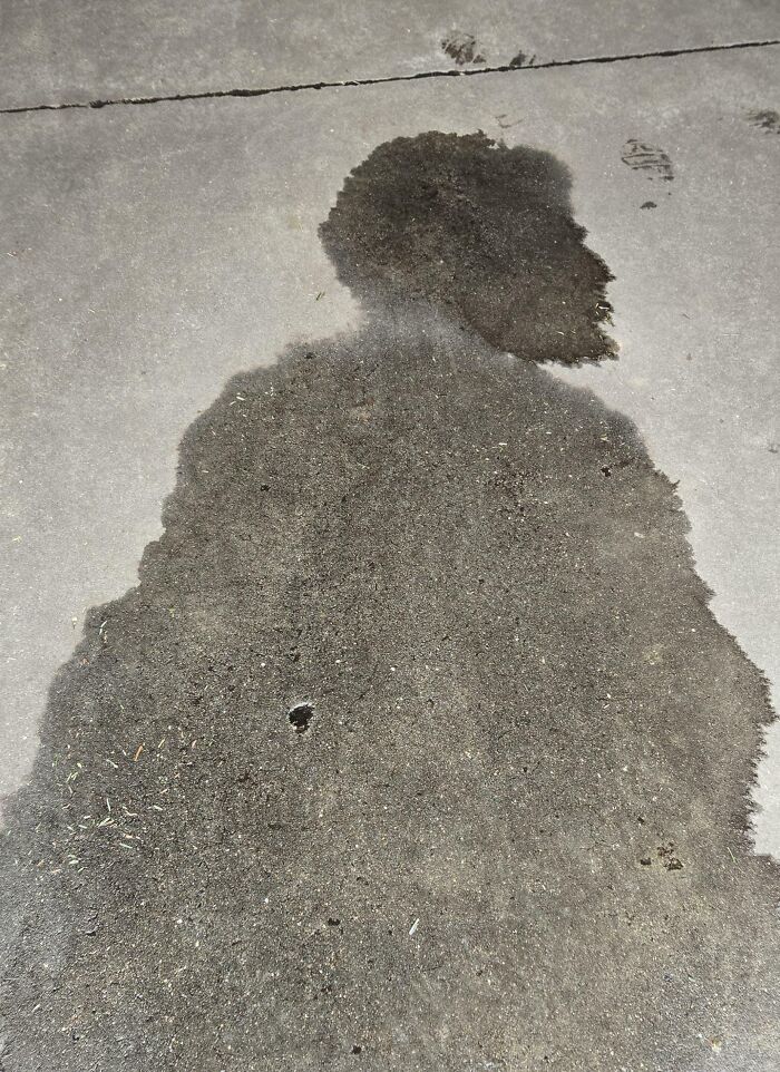 This Puddle Looks Like Someone’s Silhouette From Behind