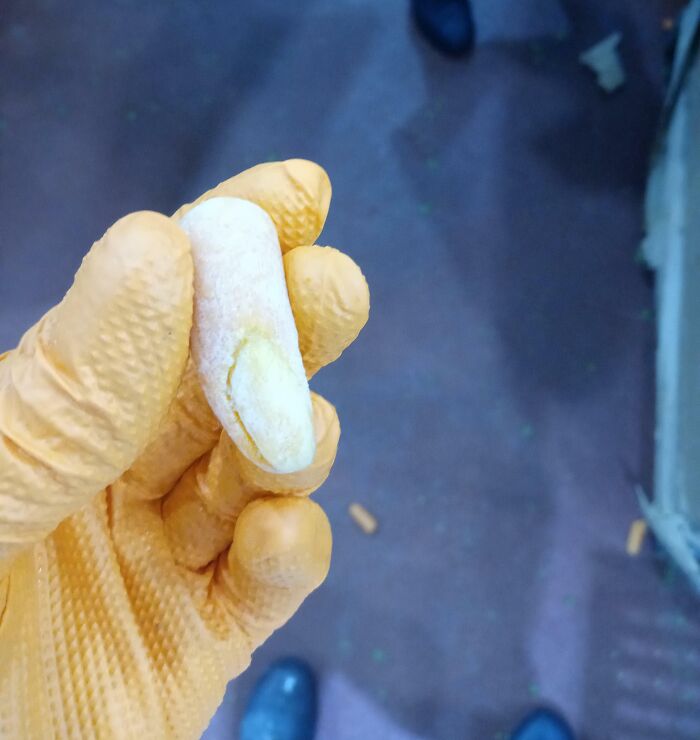 Baby Carrot That Everyone Thought Was a Human Finger At First