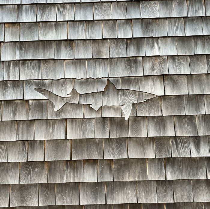 Shark Outline in Wood: Nature’s Hidden Predator