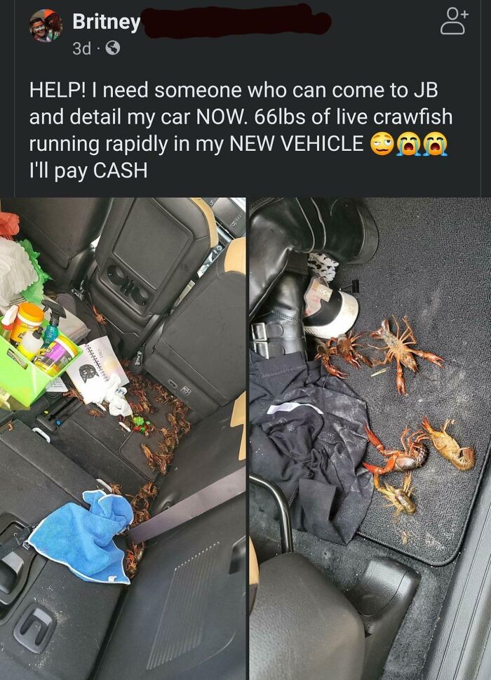 Crawfish or...? This Spelling is Weird.