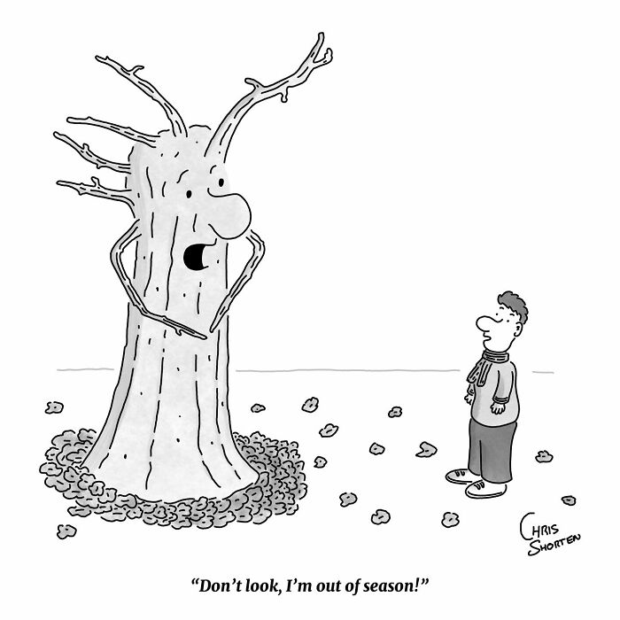 Get Ready to Giggle: 41 Totally Weird and Wonderful Chris Shorten Cartoons