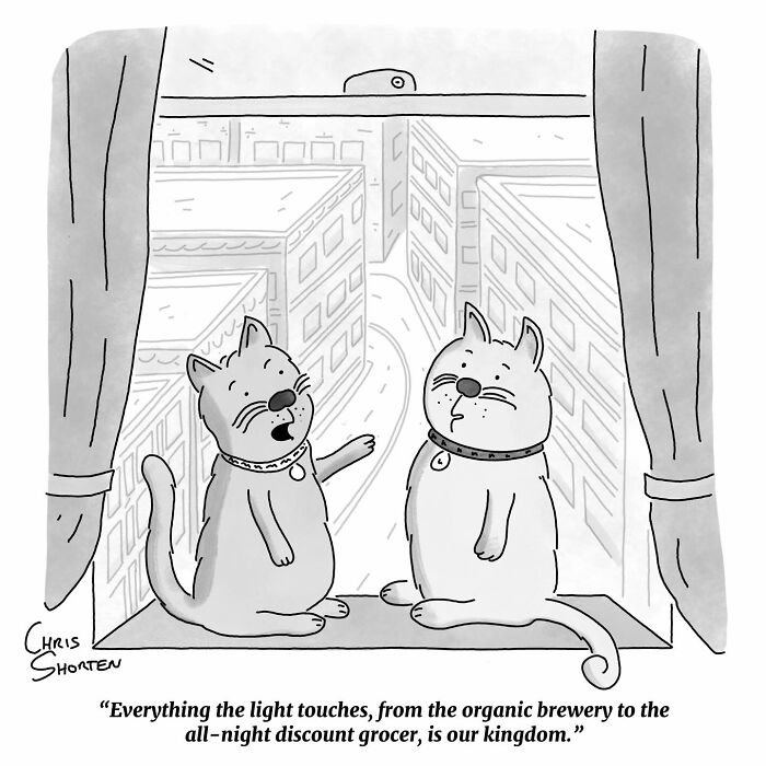 Get Ready to Giggle: 41 Totally Weird and Wonderful Chris Shorten Cartoons