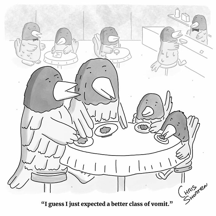 Get Ready to Giggle: 41 Totally Weird and Wonderful Chris Shorten Cartoons