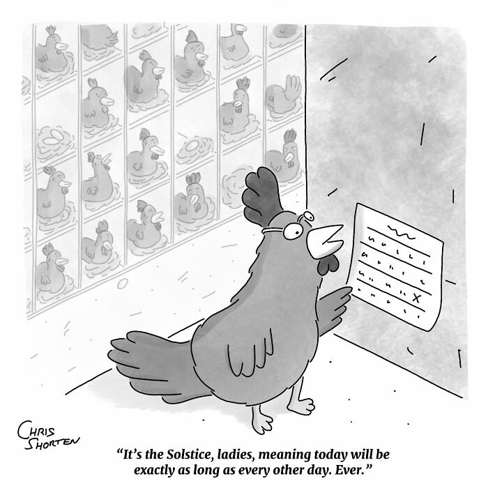 Get Ready to Giggle: 41 Totally Weird and Wonderful Chris Shorten Cartoons