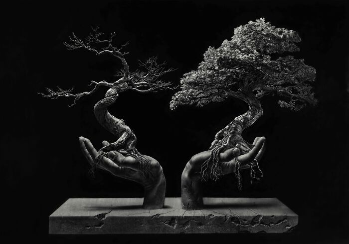 “Roots And Fingers Study 2”