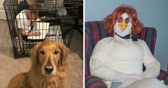 Wait, They Actually Ranked These Wild ‘Blursed’ Pics?!