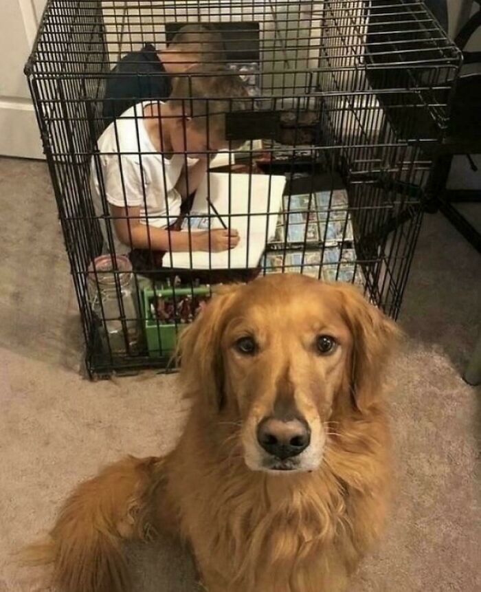 The Wrong One Got Timeout—Classic Mixup