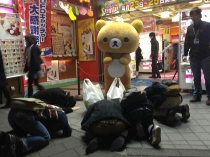 Blessed Bear: The Friendliest Furry