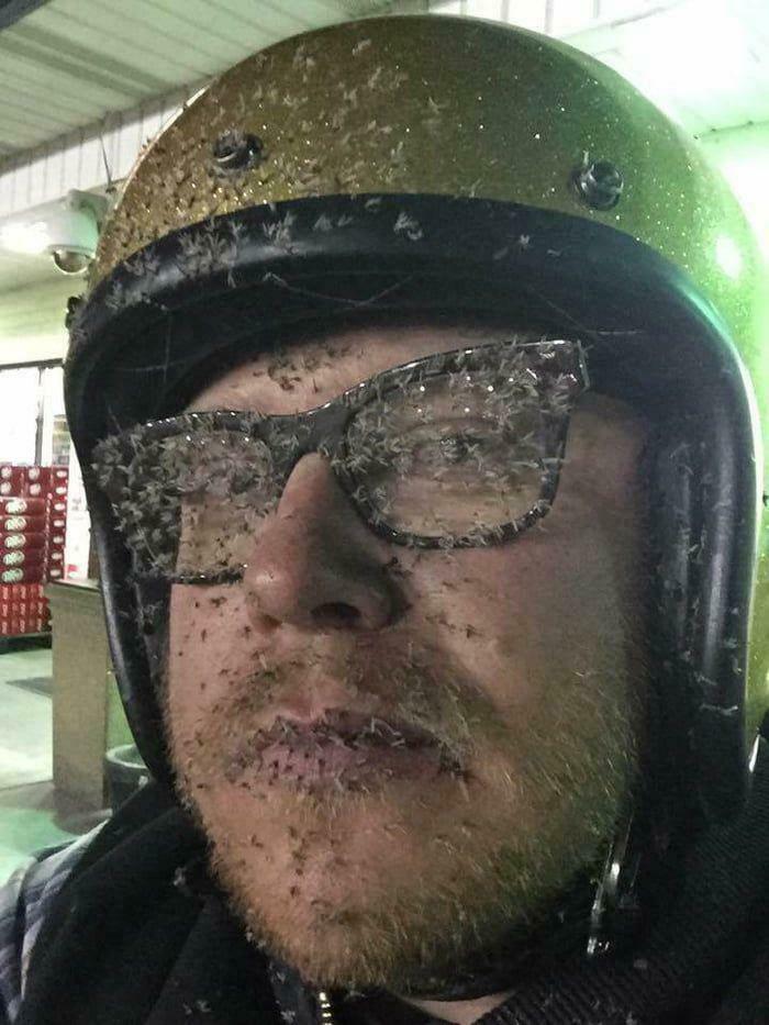 What Hitting a Pile of Mosquitoes at 90kmph Looks Like