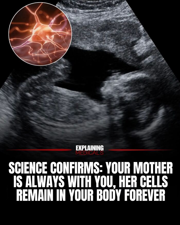 61 Medical Facts That Are Actually Pretty Awesome