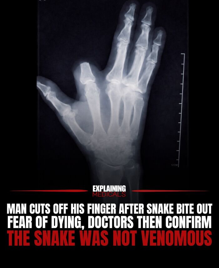 61 Medical Facts That Are Actually Pretty Awesome