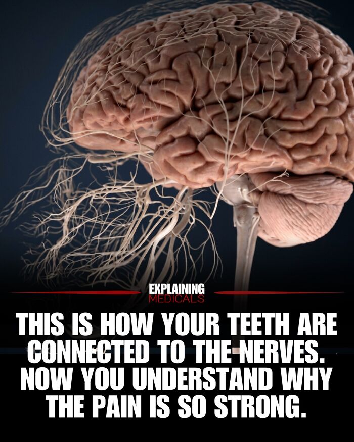 61 Medical Facts That Are Actually Pretty Awesome