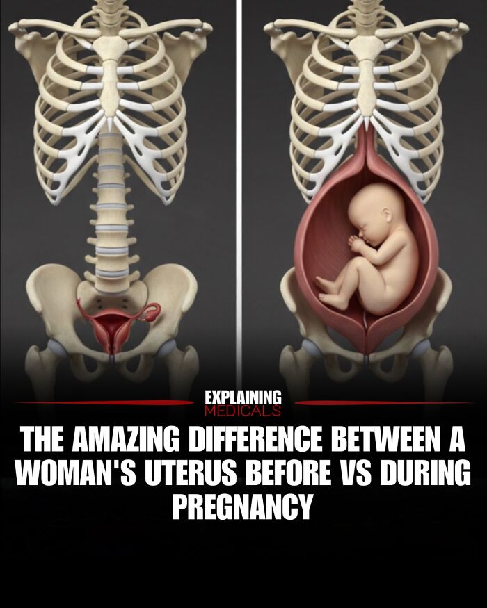 61 Medical Facts That Are Actually Pretty Awesome