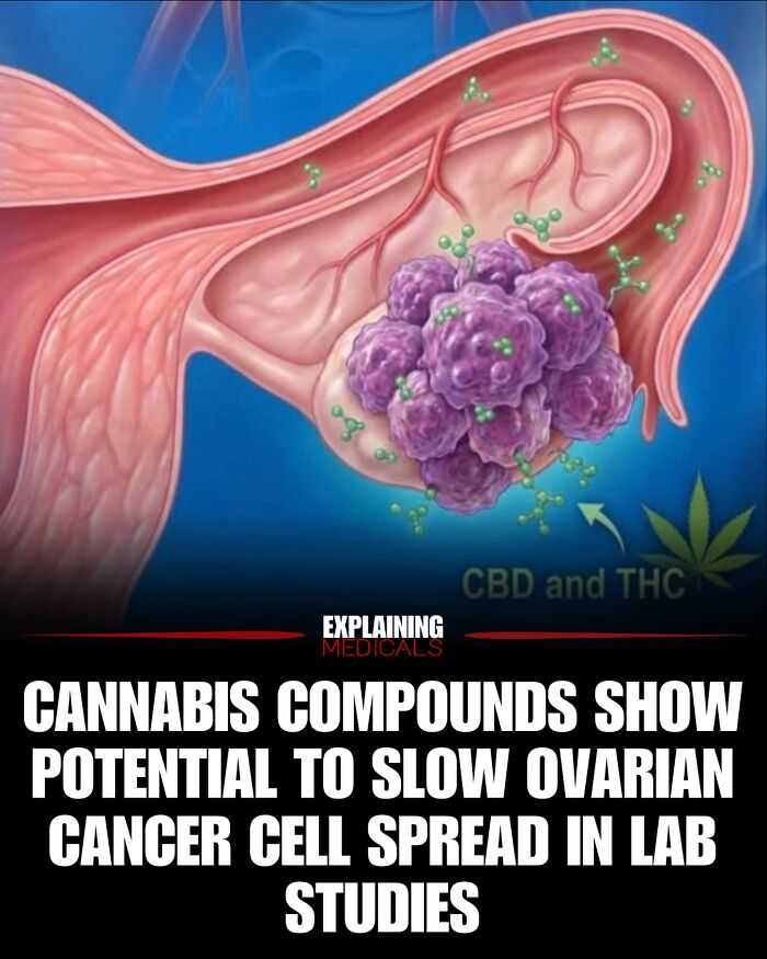 61 Medical Facts That Are Actually Pretty Awesome
