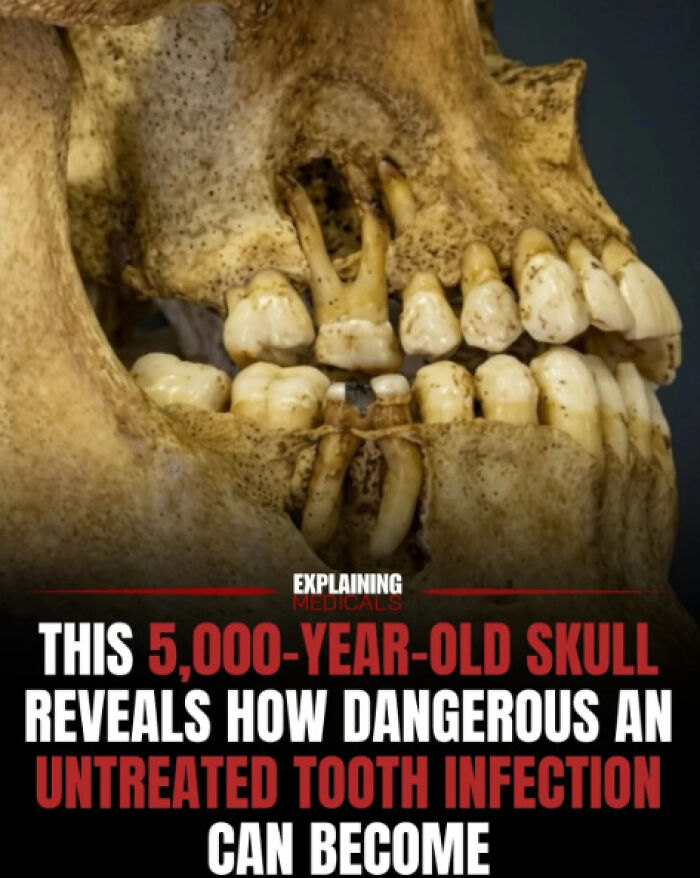 61 Medical Facts That Are Actually Pretty Awesome