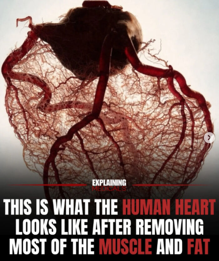 61 Medical Facts That Are Actually Pretty Awesome
