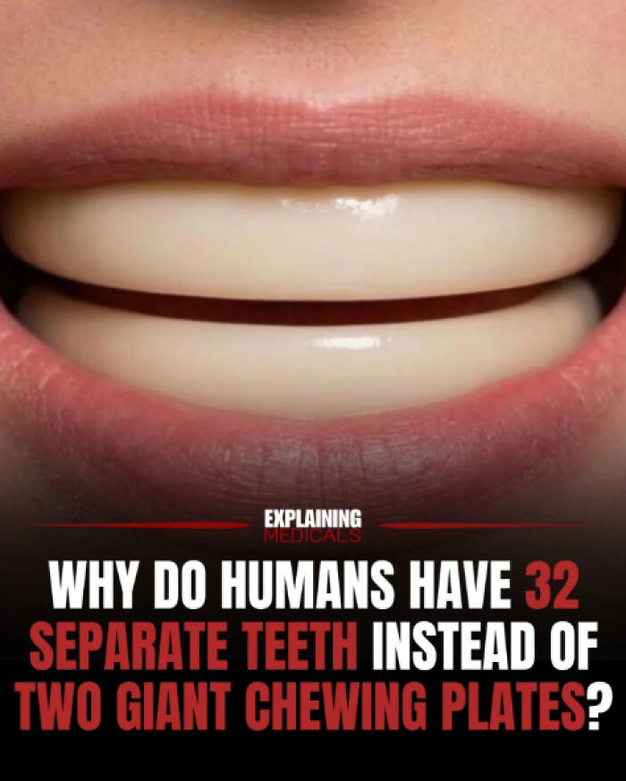 61 Medical Facts That Are Actually Pretty Awesome
