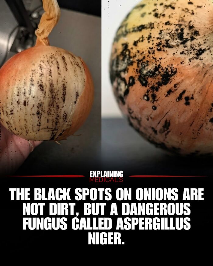 61 Medical Facts That Are Actually Pretty Awesome