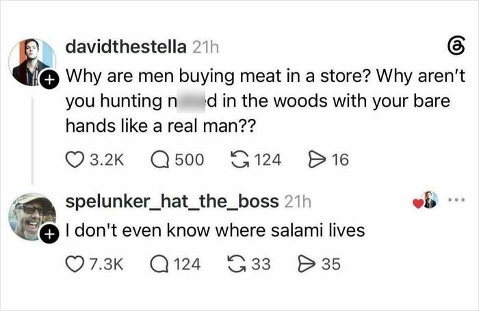 Lost in Salami Land