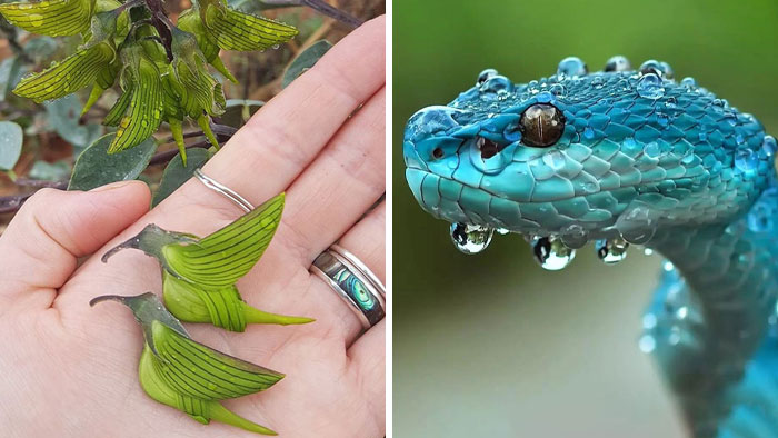 Wait, Nature And Science Are This Mind-Blowing?!