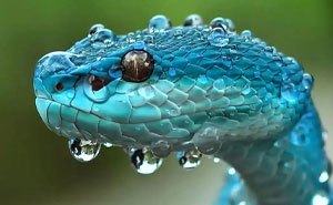 Wait, Nature And Science Are This Mind-Blowing?!