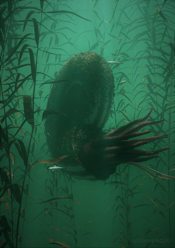 Ancient Kraken: The Largest Invertebrate Ever, Big Enough To Haunt Your Dreams