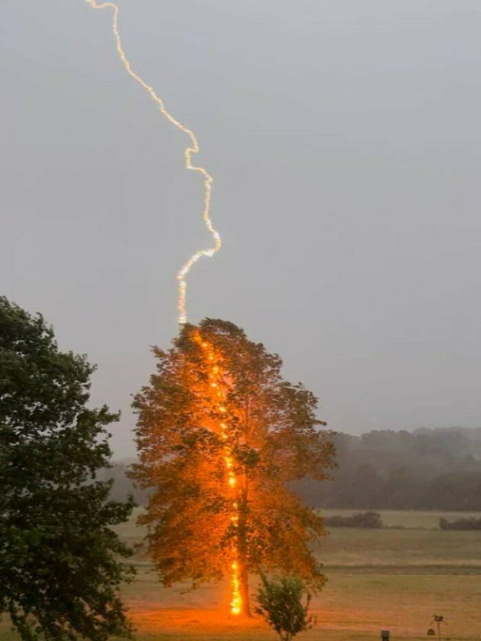 Lightning Strike Caught In The Perfect Split Second: Nature’s Power Pose