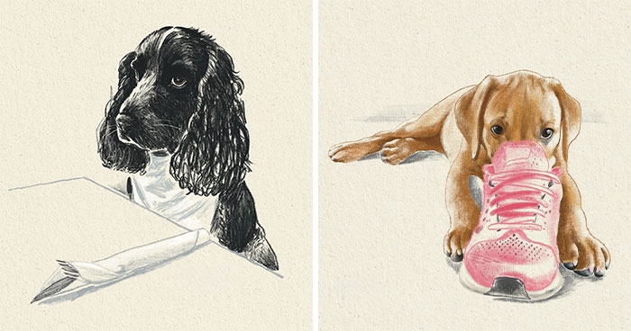 Wait, They Actually Drew These Dogs? (76 Pics Of Pure Pupper Magic)