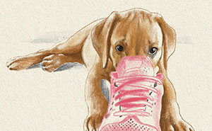 Wait, They Actually Drew These Dogs? (76 Pics Of Pure Pupper Magic)